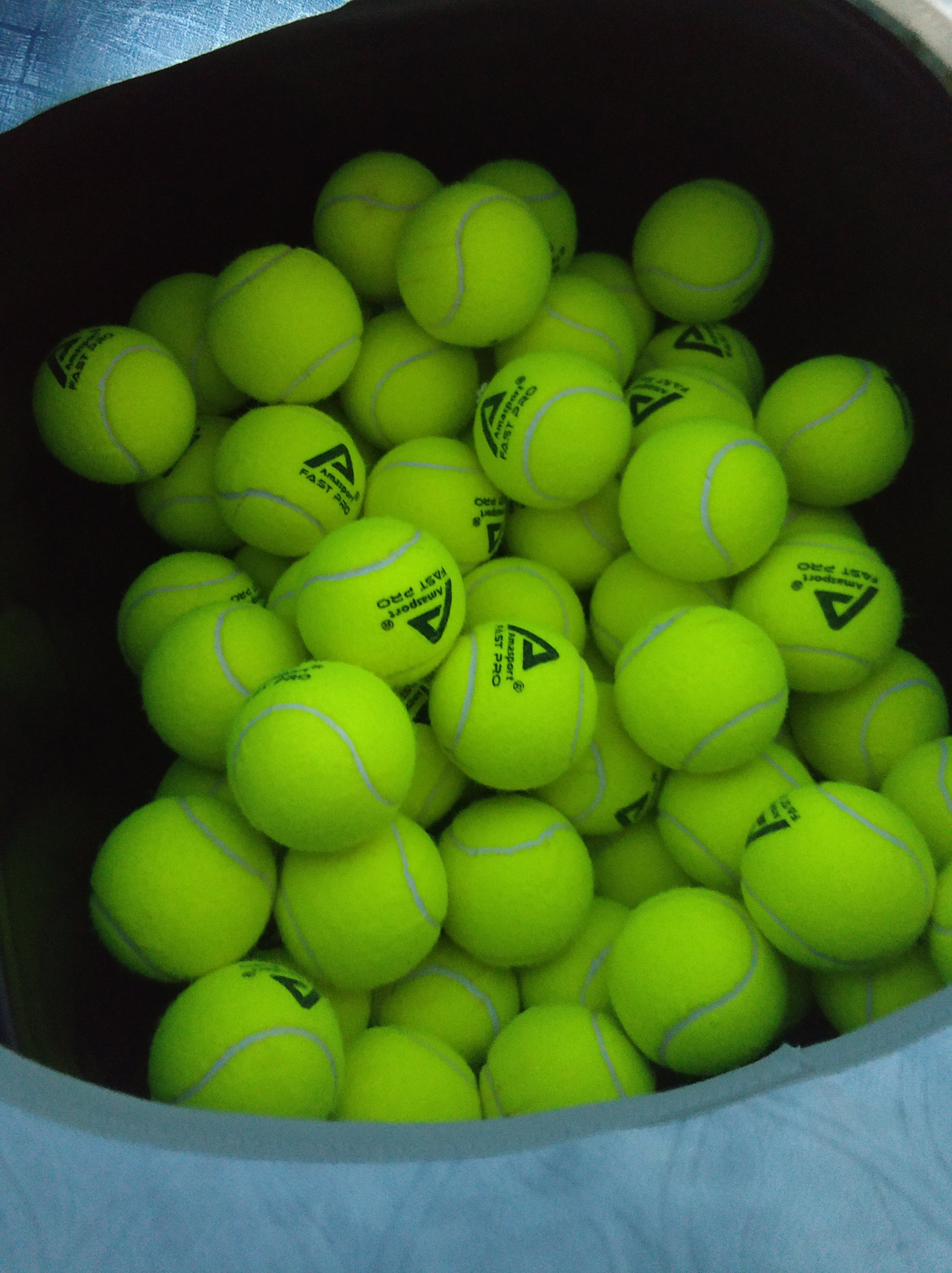 塞尔维亚替 塞尔维亚替