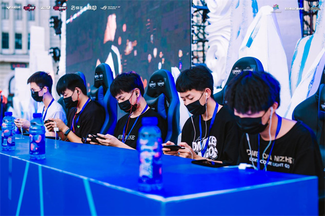 河道花草 河道花草