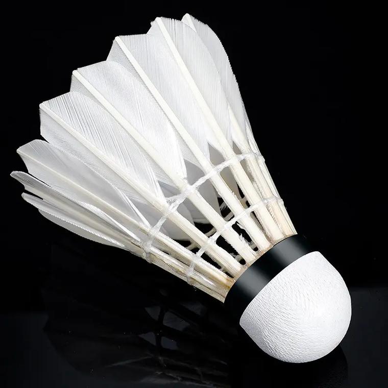 选边设计 选边设计