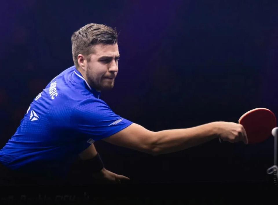 参考近年欧 参考近年欧